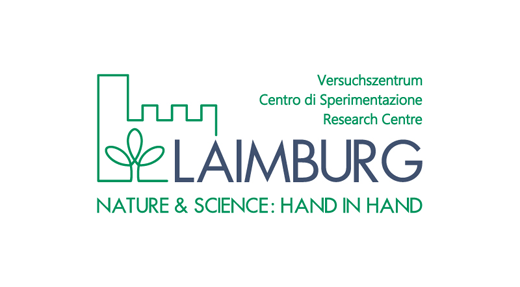 In-Finitude_Reference_Laimburg