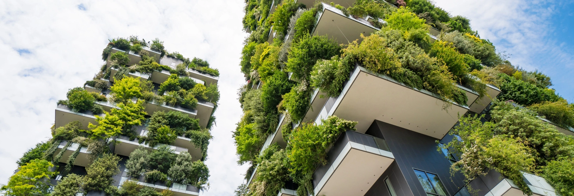 Solutions fondées sur la nature standardisées (SfN)
